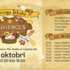 15. HERCOGA JĒKABA GADATIRGUS 
