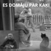 ES DOMĀJU PAR KAĶI