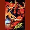 STREET FIGHTER: FILMA